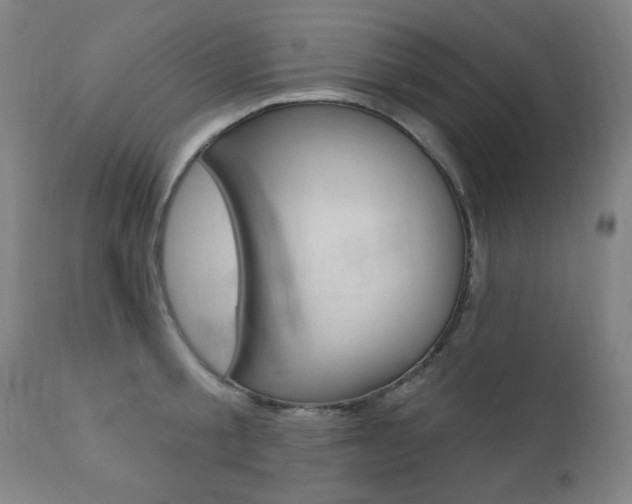 X0000111380805200907100936