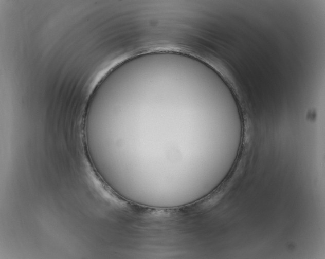 X0000111380806200907100936