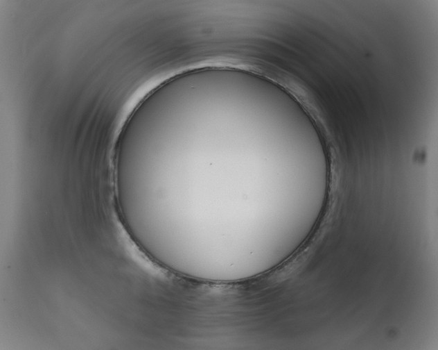 X0000111380808200907100936