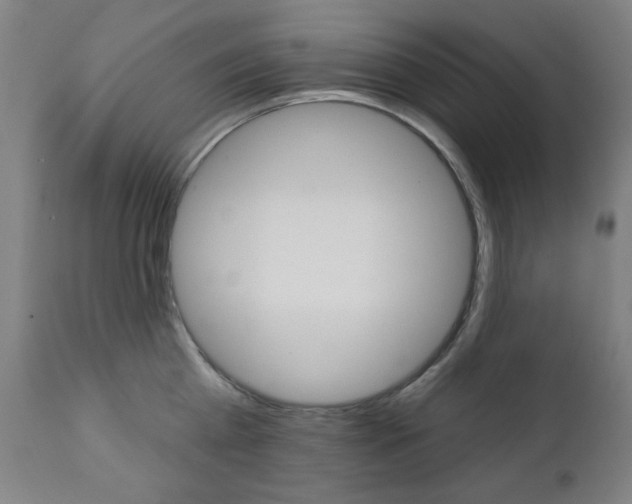 X0000111380809200907100936