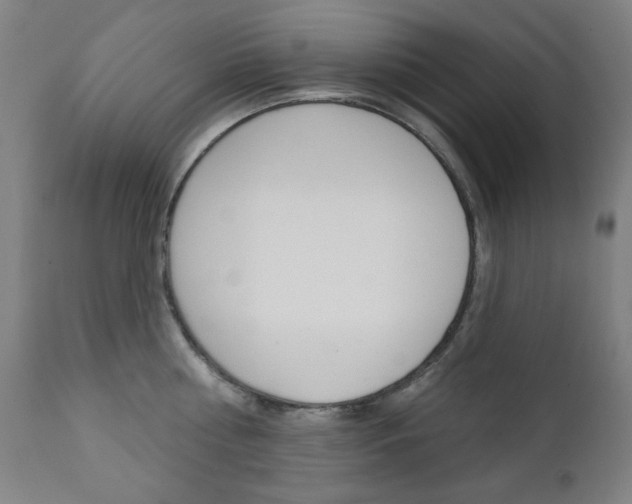 X0000111380810200907100936