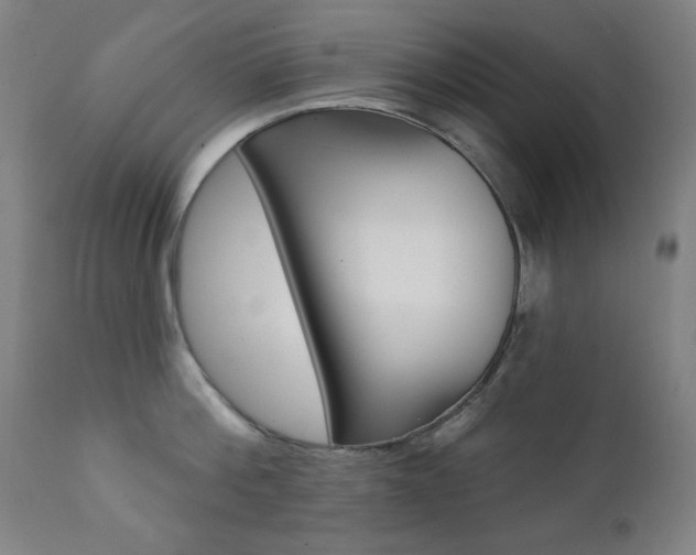 X0000111380812200907100936