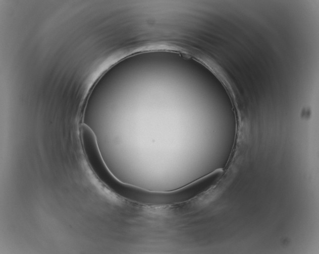 X0000111380813200907100936