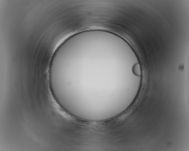 X0000111380814200907100936