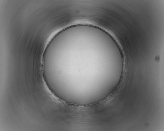 X0000111380815200907100936