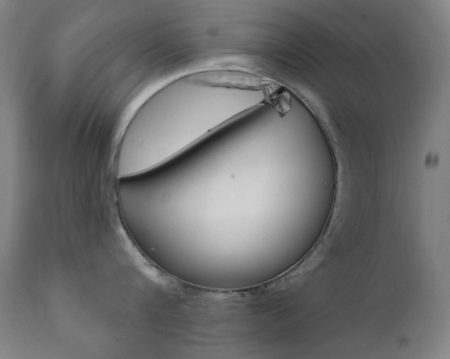 X0000111380816200907100935