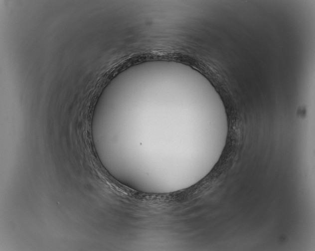 X0000111380817200907100935