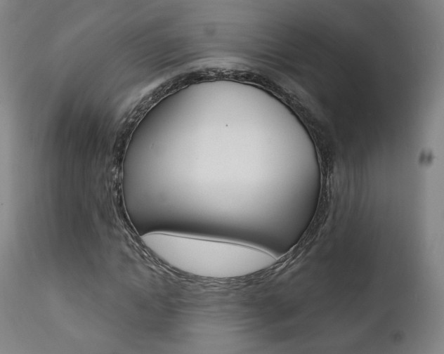 X0000111380822200907100935