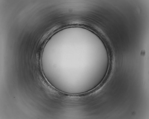 X0000111380825200907100935