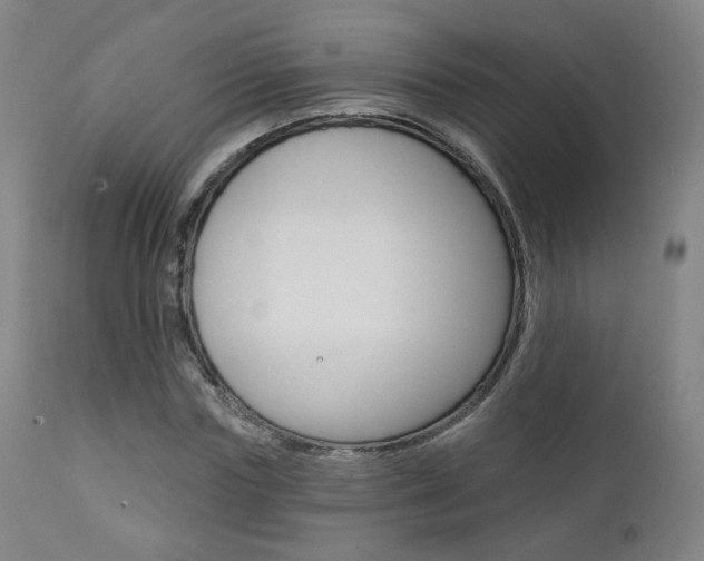 X0000111380827200907100935