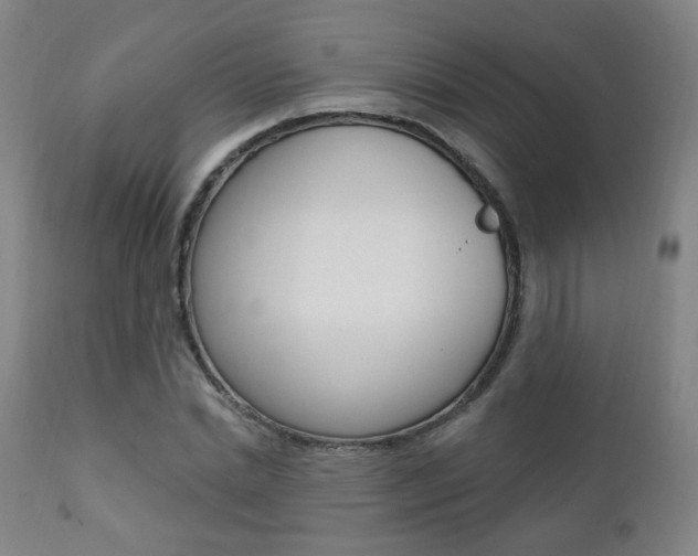 X0000111380830200907100935