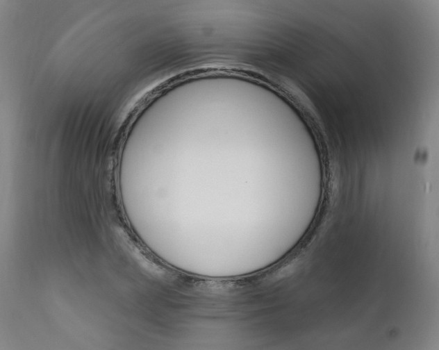 X0000111380831200907100935
