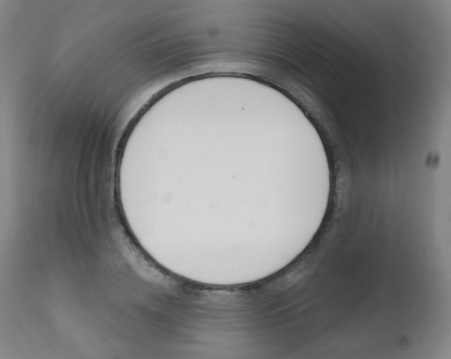 X0000111380836200907100935