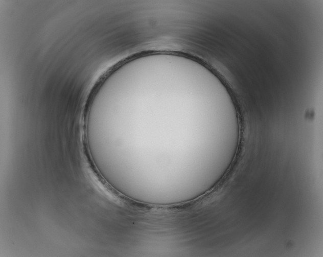 X0000111380840200907100935