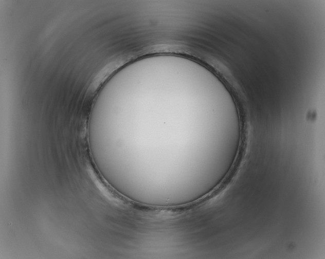 X0000111380841200907100935