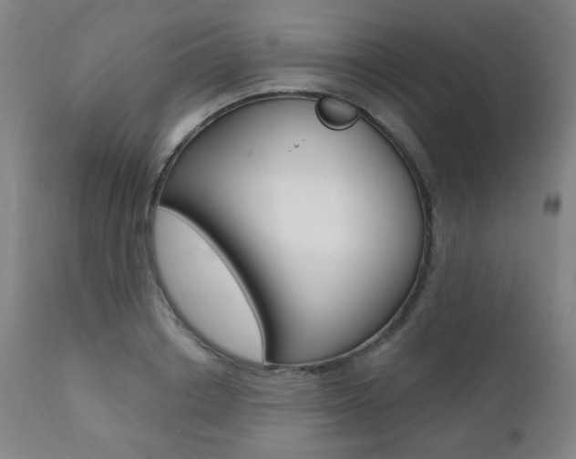 X0000111380842200907100935