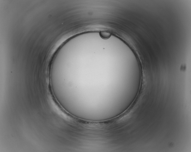 X0000111380843200907100935