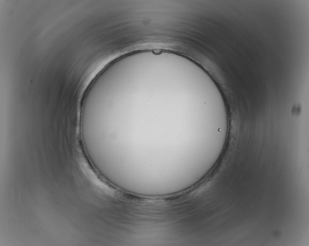 X0000111380844200907100935