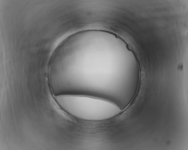 X0000111380854200907100935