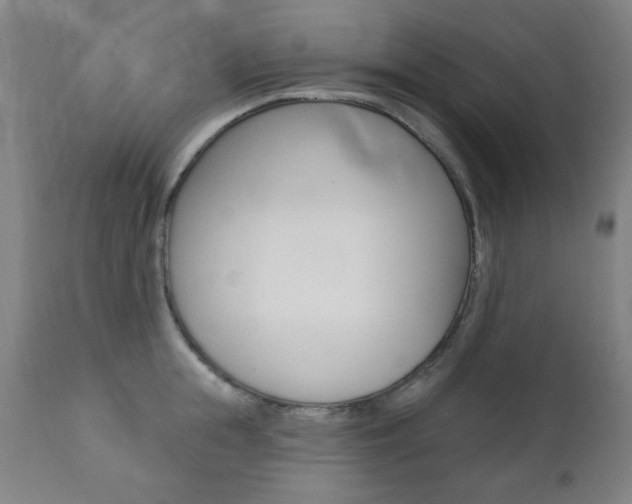 X0000111380855200907100935