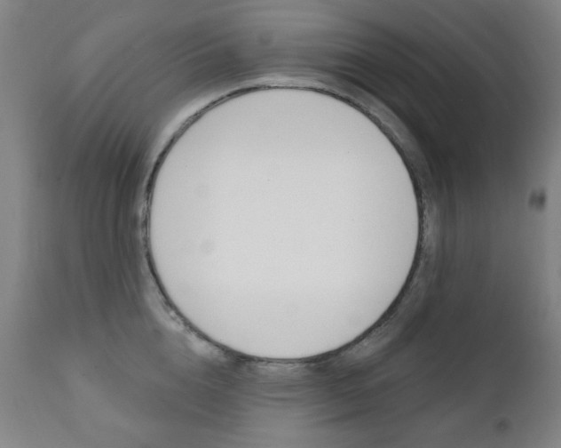 X0000111380856200907100935