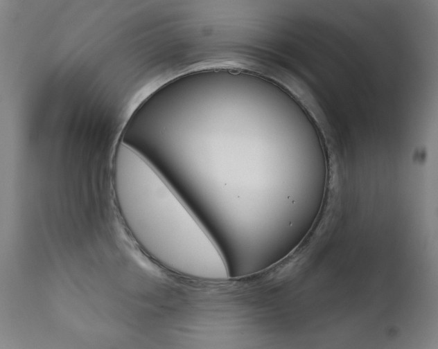 X0000111380858200907100935