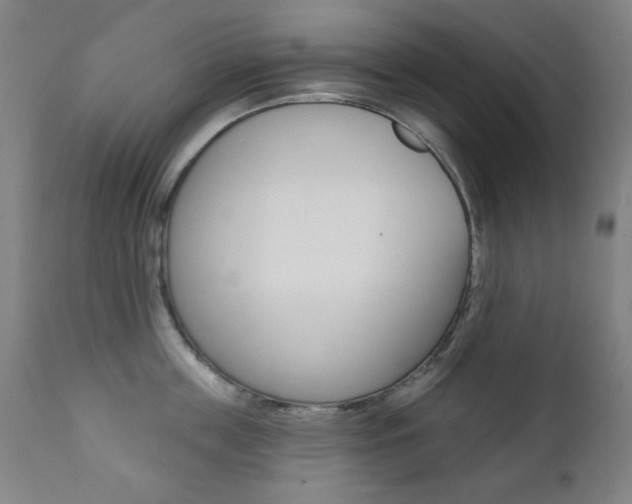 X0000111380859200907100935