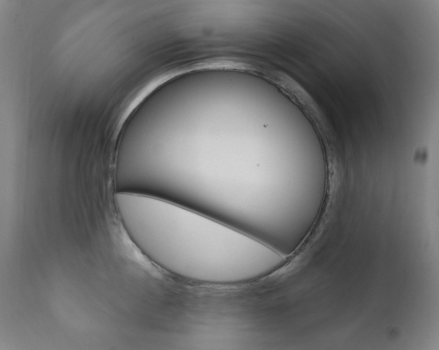 X0000111380860200907100935