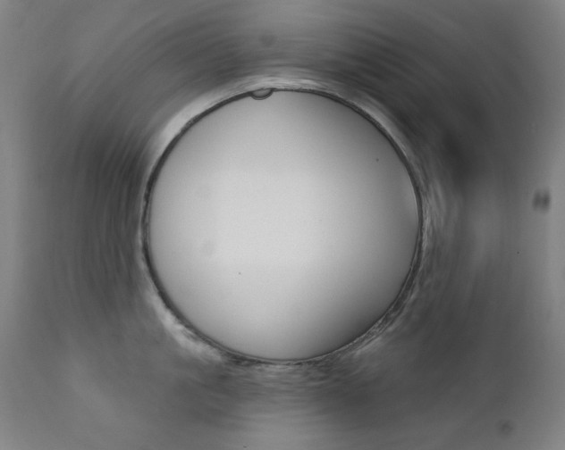 X0000111380861200907100935