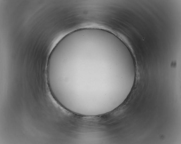 X0000111380863200907100935