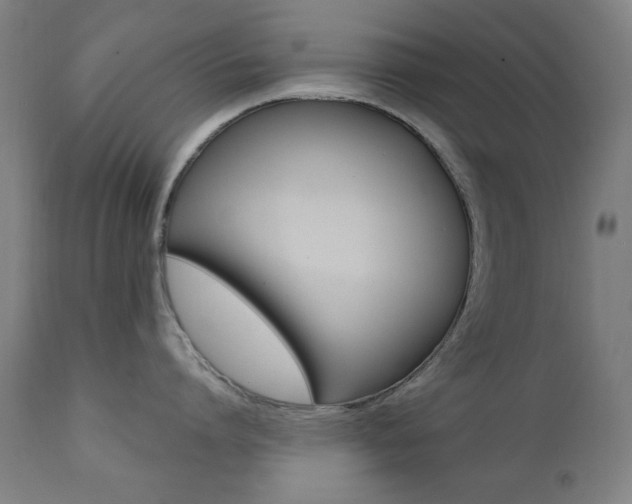 X0000111380864200907100935