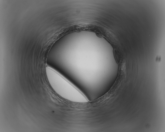 X0000111380868200907100935