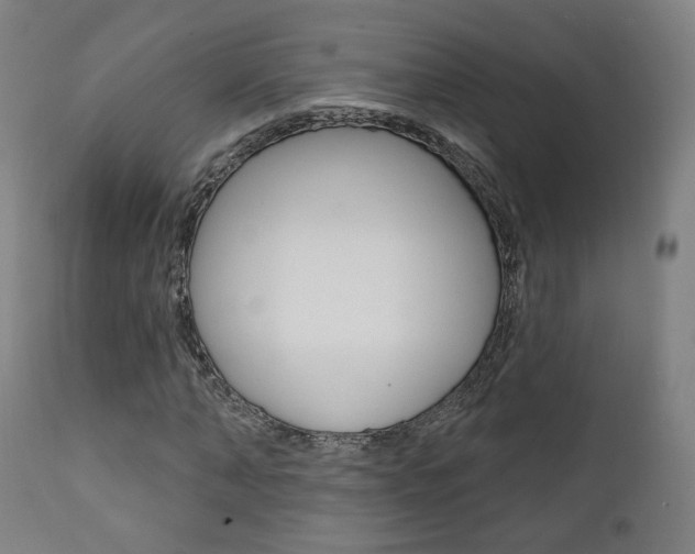 X0000111380870200907100935