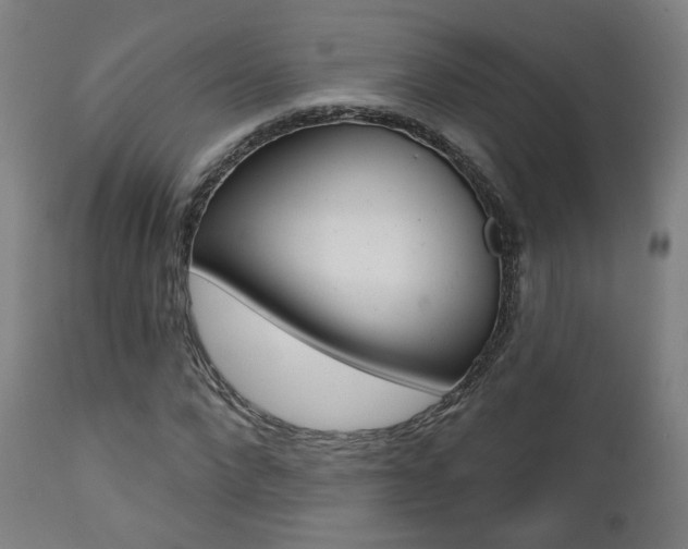 X0000111380872200907100935