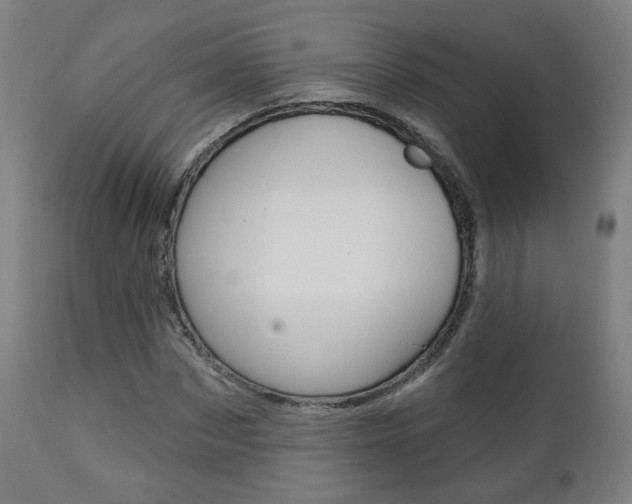 X0000111380873200907100935