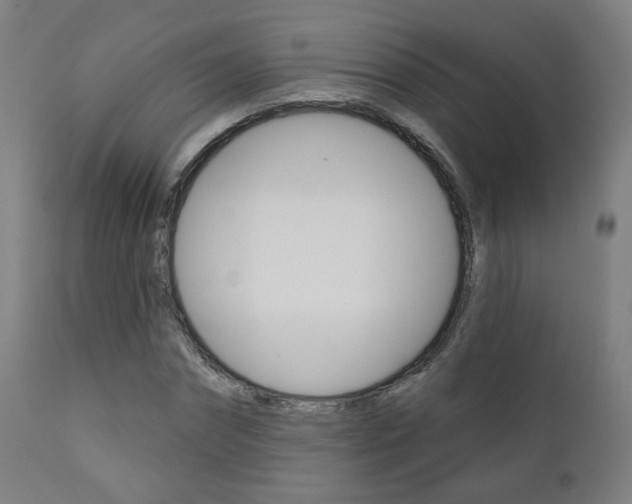 X0000111380874200907100935