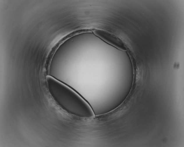X0000111380876200907100934