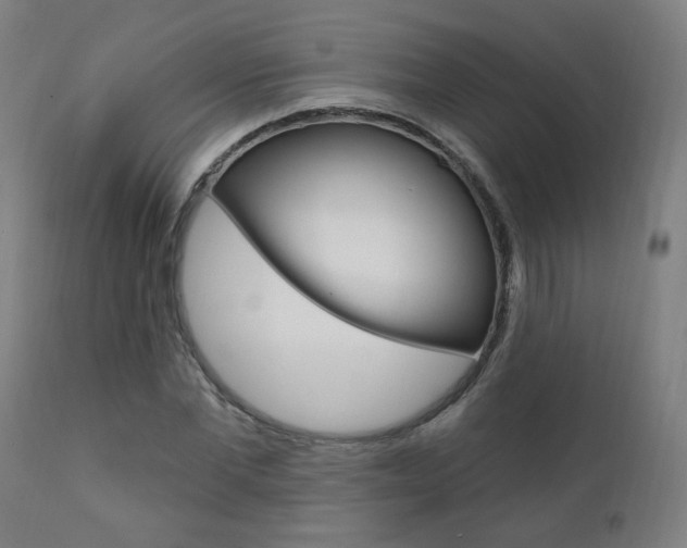 X0000111380877200907100934