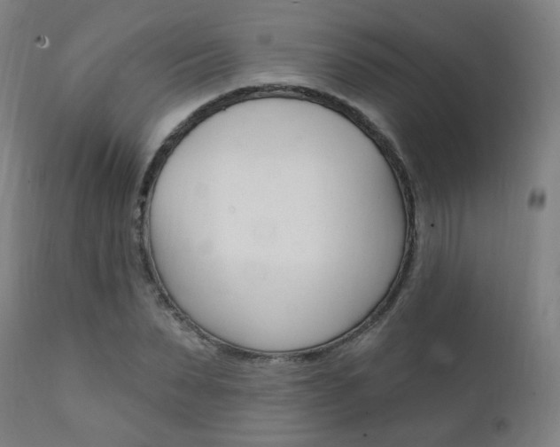 X0000111380879200907100934