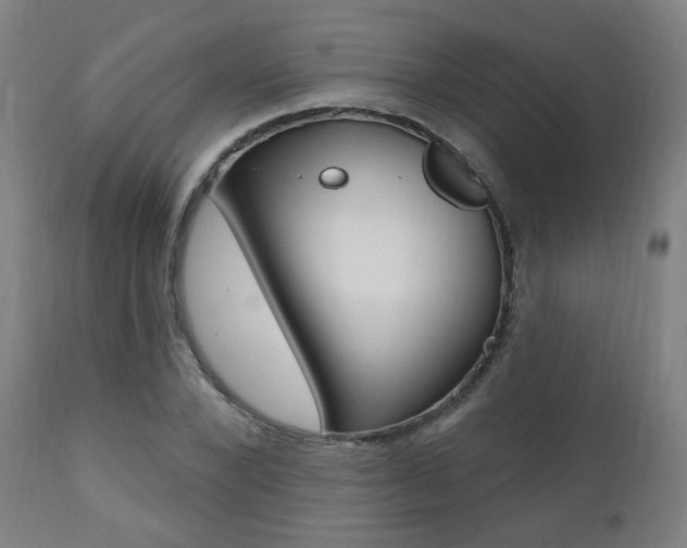 X0000111380880200907100934
