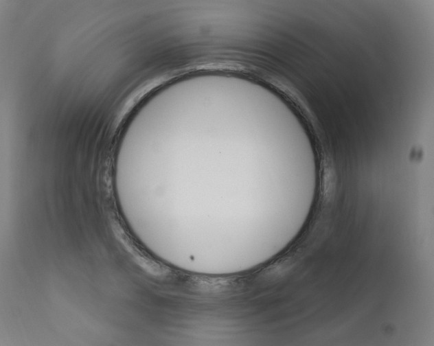 X0000111380882200907100934