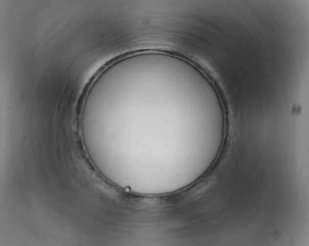 X0000111380883200907100934