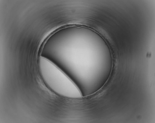 X0000111380884200907100934