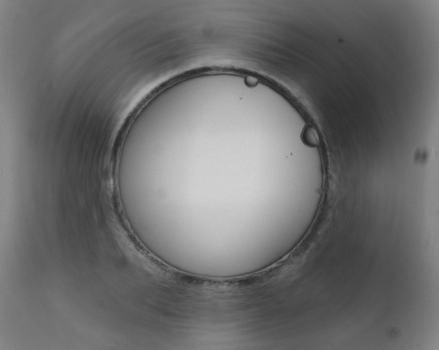 X0000111380887200907100934