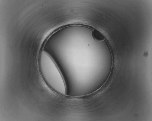 X0000111380888200907100934