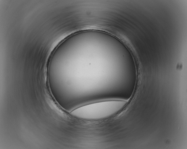 X0000111380892200907100934