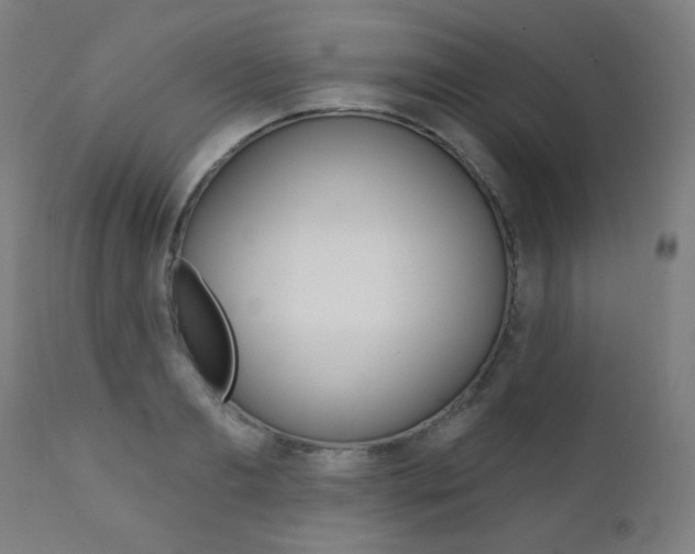 X0000111380893200907100934