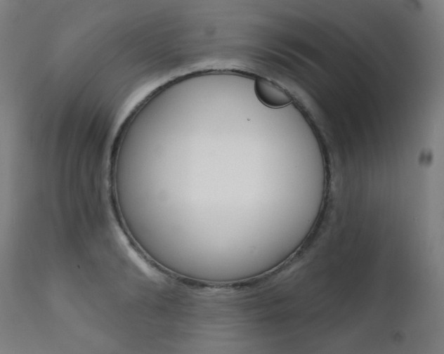X0000111380894200907100934