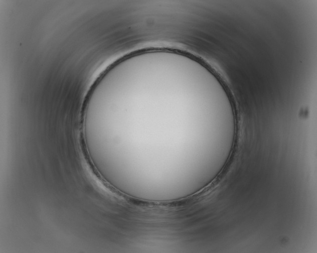 X0000111380895200907100934