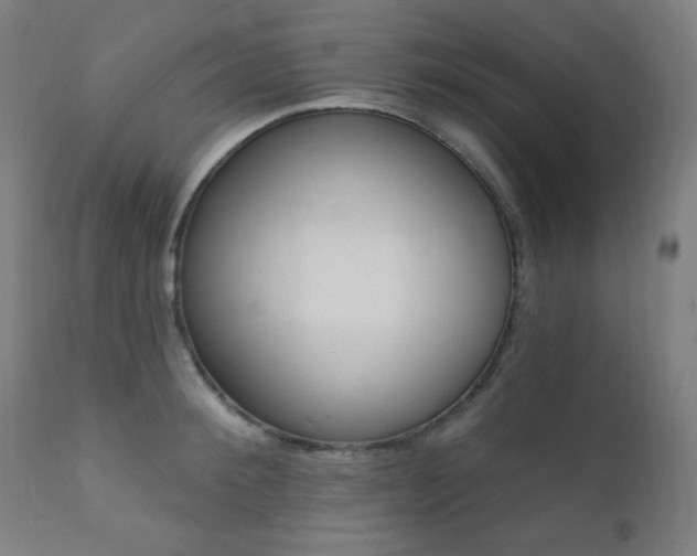 X0000111380900200907100934